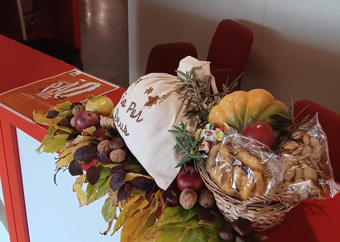 Hi - De Juventude אכסניה *